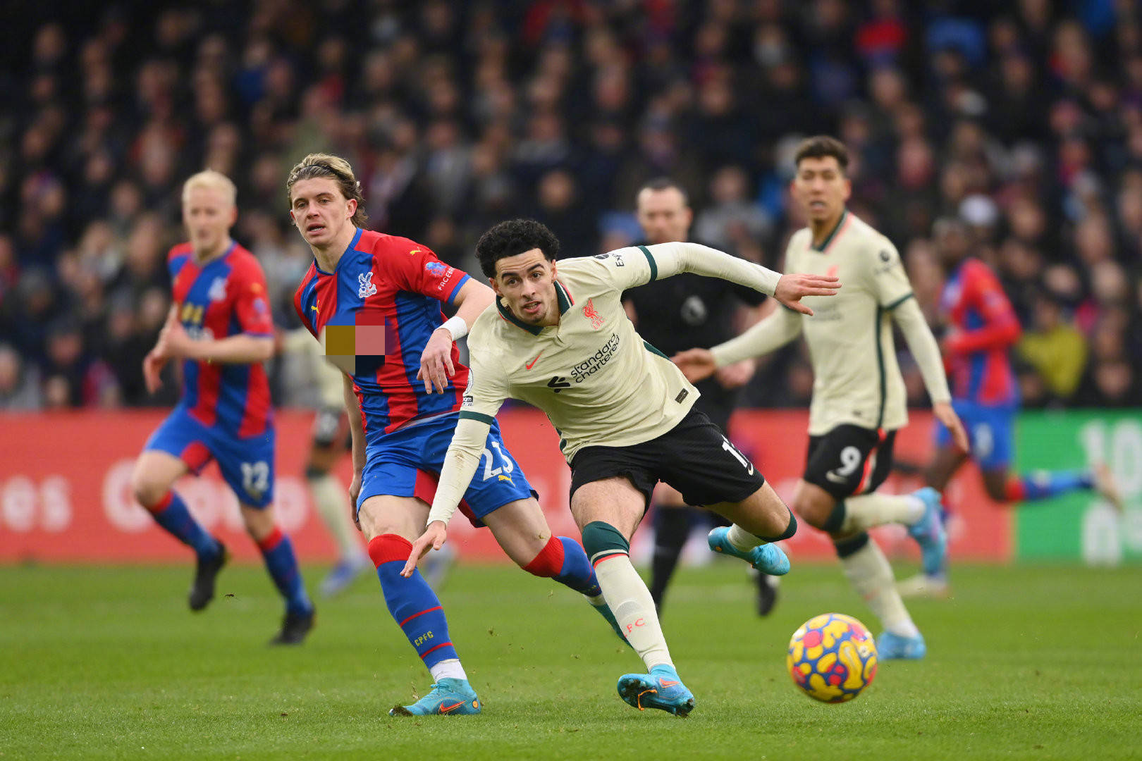 但他毕竟已 但他毕竟已